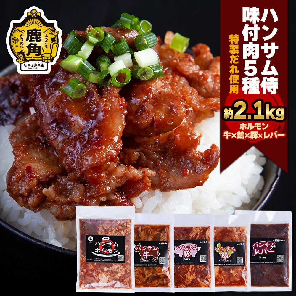 【ふるさと納税】 ハンサム味付け肉セット5種（ホルモン・牛・鶏・豚・レバー） 鍋 ホルモン もつ 焼肉..