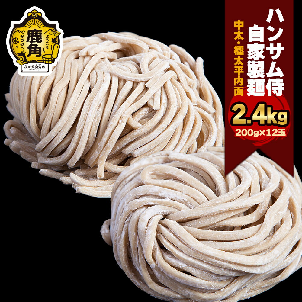 ハンサム自家製麺「中太・極太平打麺」各3袋(1袋2玉入) 麺 中華 ラーメン 拉麺 おかず おつまみ 食べやすい お歳暮 グルメ ギフト 故郷 秋田 あきた 鹿角市 鹿角 極太 自家製 送料無料 [ハンサム侍]