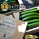 25位! 口コミ数「0件」評価「0」《 先行予約 》 秋田県鹿角産 リバーサイド きゅうり 3段セット 新鮮 旬 安全 とれたて クール便 キュウリ 胡瓜 県産野菜 国産野菜 ･･･ 