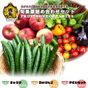 【ふるさと納税】《 先行予約 》ネクスト農 ( みのり ) 熟 PRESENTS 旬果菜 詰め合わせセット きゅうり りんご 旬の野菜 お中元 お歳暮 お取り寄...