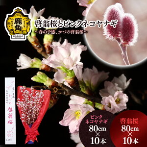 【ふるさと納税】《 先行予約 》 啓翁桜とピンクネコヤナギセット ( 80cm × 10本/80cm × 10本 ) 生花 花 インテリア 花見 お正月 結婚 卒園 卒業 プレゼント お土産 母の日 グルメ ギフト 故郷 秋田 あきた 鹿角市 鹿角 送料無料 【さとう農園】