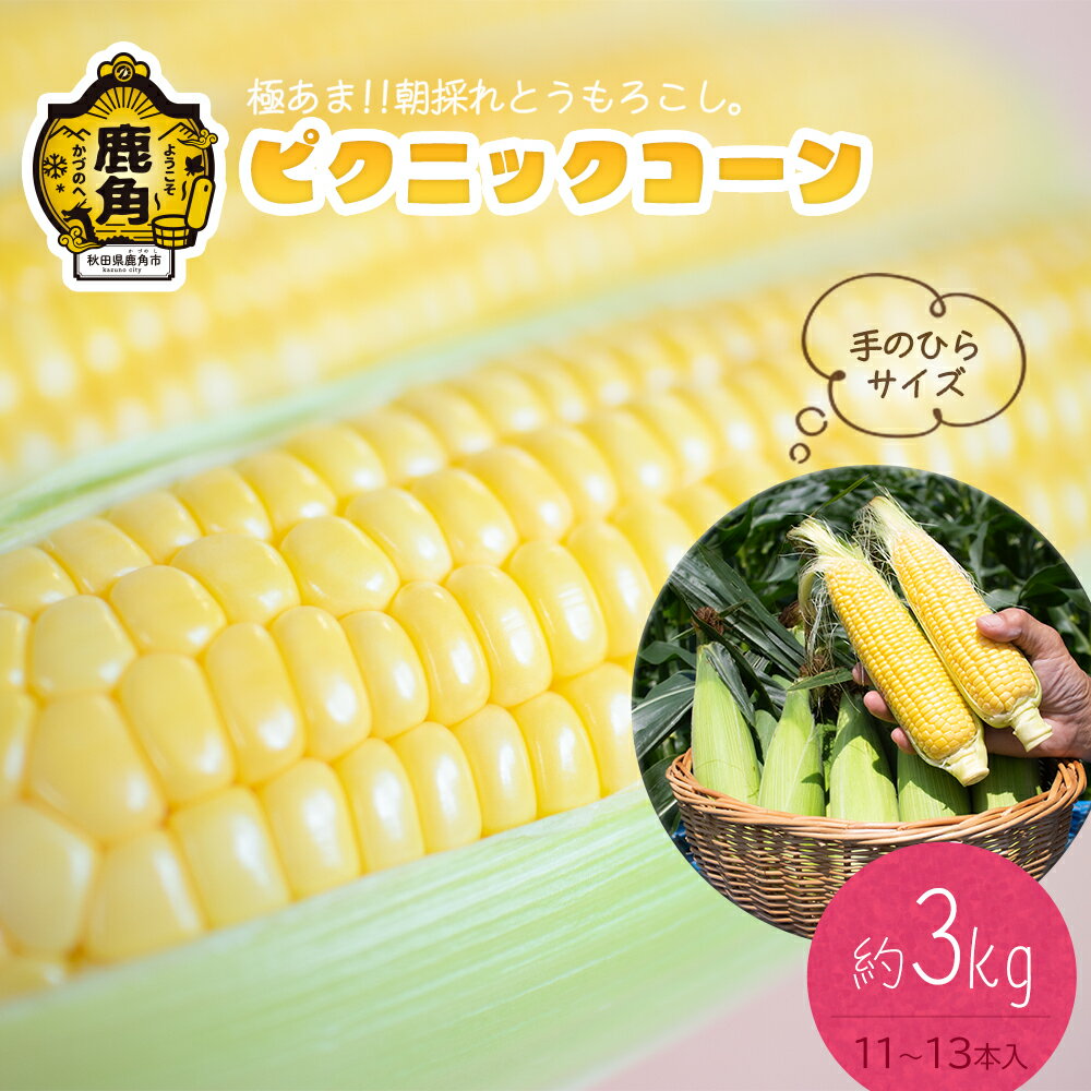 【ふるさと納税】《 先行予約 》 とうもろこし ピクニックコーン 約3kg（11～13本） 朝採り 秋田県 鹿角産 新鮮 野菜 安全 トウモロコシ スイートコーン フルーツコーン 中元 お歳暮 母の日 父の日 グルメ ギフト 故郷 秋田 あきた 鹿角市 鹿角 送料無料 【さとう農園】