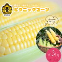 【ふるさと納税】《 先行予約 》 とうもろこし ピクニックコーン 約3kg（11～13本） 朝採り 秋田県 鹿角産 新鮮 野菜 安全 トウモロコシ スイートコーン フルーツコーン 中元 お歳暮 母の日 父の日 グルメ ギフト 故郷 秋田 あきた 鹿角市 鹿角 送料無料 【さとう農園】