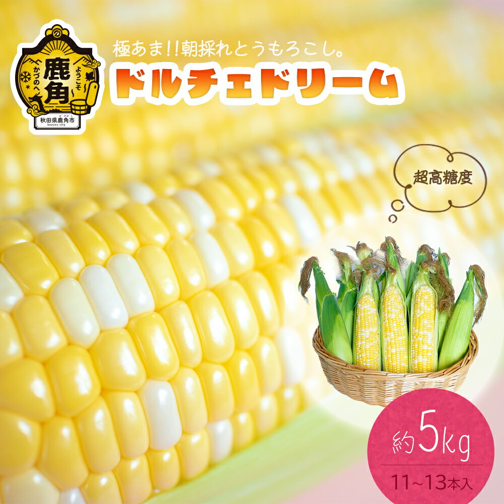 【ふるさと納税】《 先行予約 》 とうもろこしドルチェドリーム 約5kg 11～13本 朝採り 秋田県 鹿角産 新鮮 野菜 安全 トウモロコシ スイートコーン フルーツコーン 中元 お歳暮 母の日 父の日…