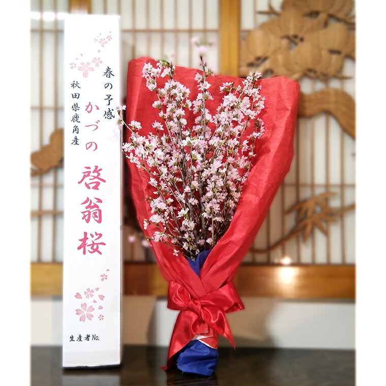 【ふるさと納税】《 先行予約 》 啓翁桜 ( 60～80cm × 10本 ) 生花 花 インテリア 春 冬 花見 お正月 結婚 卒園 卒業 プレゼント お土産 母の日 贈り物 贈答用 家庭用 グルメ ギフト 故郷 秋田 あきた 鹿角市 鹿角 送料無料 【さとう農園】