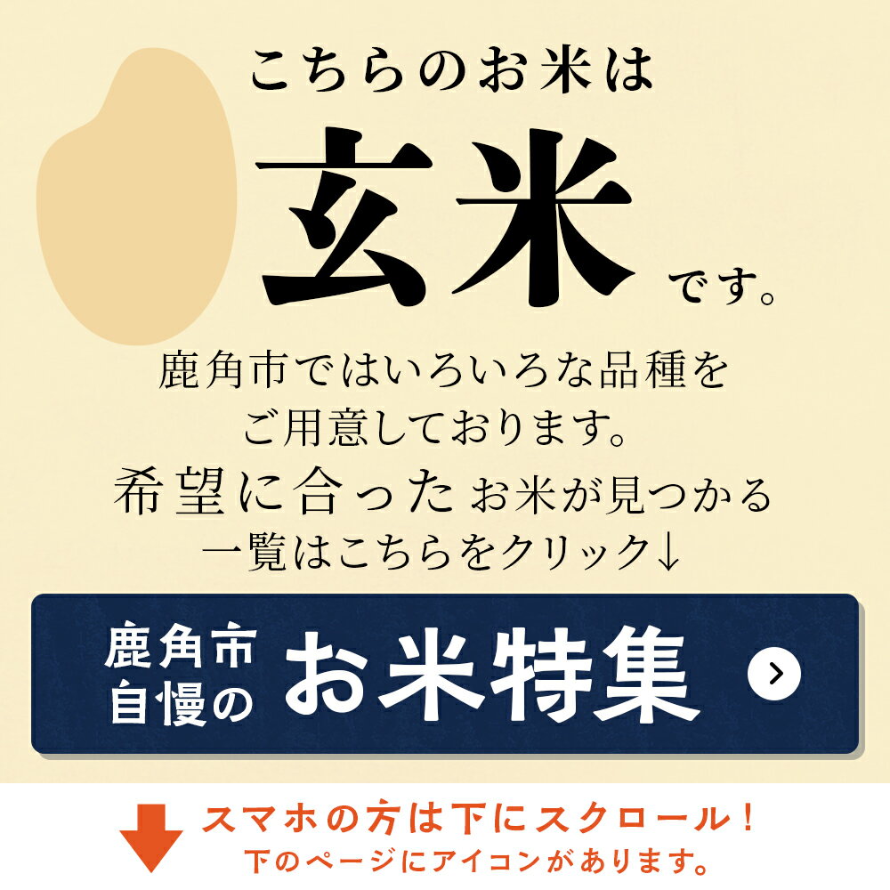 【ふるさと納税】〈 定期便 〉 令和5年産 あきたこまち 玄米 10kg × 2ヶ月 連続発送 品質 安全 米 お米 こめ コメ 県産米 国産米 10KG 10キロ 10k 10K 10K 10k 10キロ 10 秋田県 あきた 鹿角市 鹿角 送料無料 【八幡平地域経営公社】