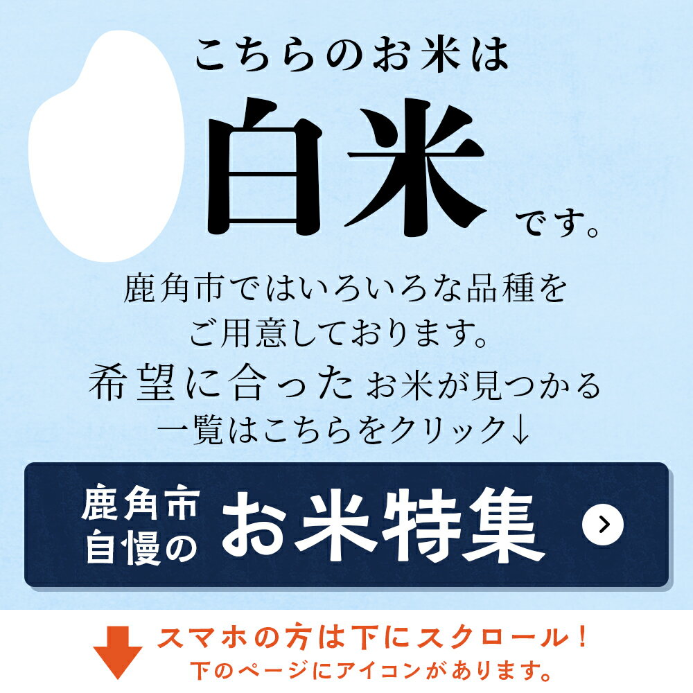 【ふるさと納税】 あきたこまち 5kg～120kg 選べる 単品 定期 5kg 15kg 30kg 60kg 120kg 3回 6回 12回 白米 精米 小分け パッケージ 米 お米 こめ コメ 県産米 国産米 ギフト お中元 お歳暮 ふるさと 返礼品 秋田 あきた 鹿角市 鹿角 送料無料 【豊田農園】