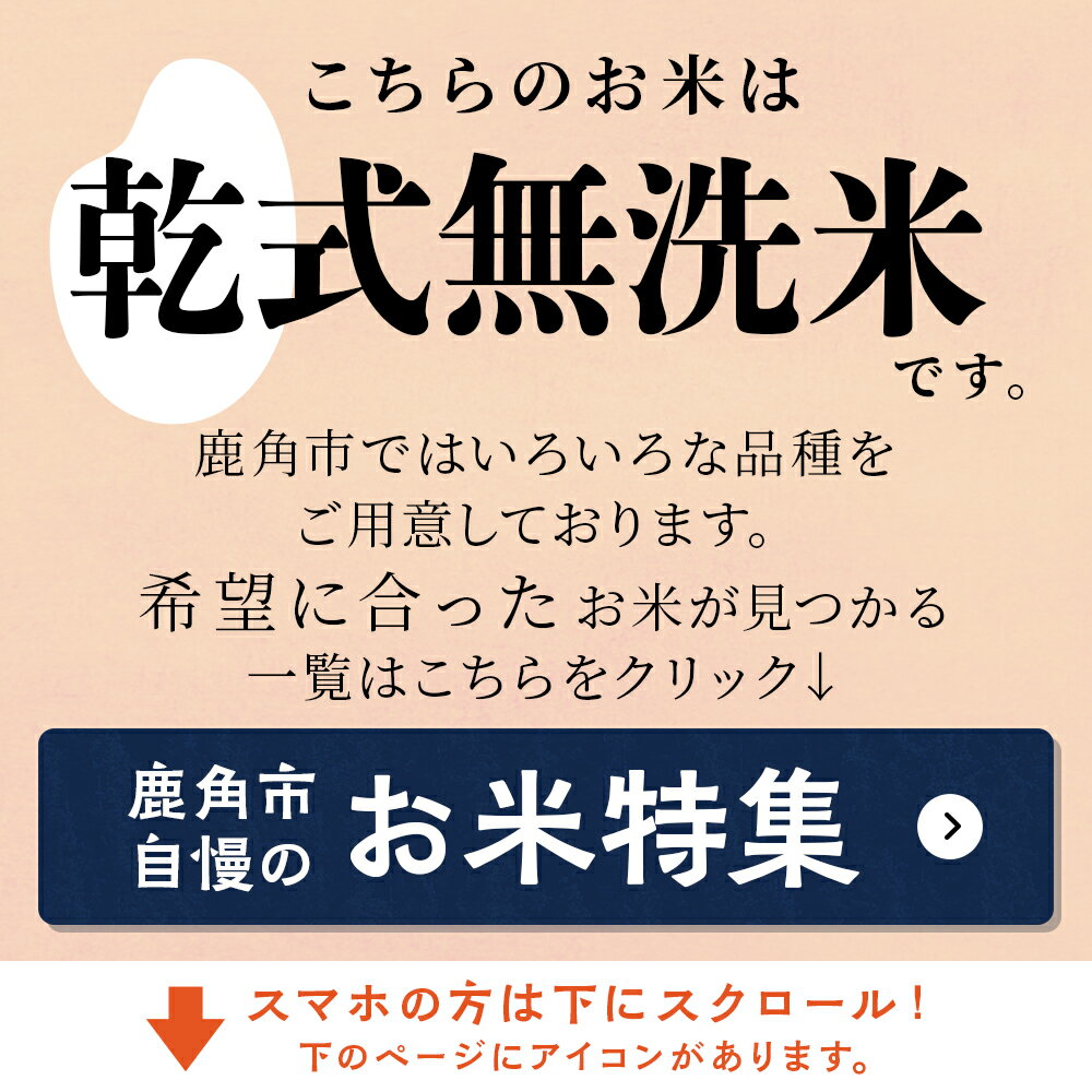 【ふるさと納税】 新米 令和4年産 鹿角の 萌えみのり 精米 20kg ( 10kg × 2袋 ) 無洗米 白米 米 お米 こめ コメ 県産米 国産米 訳あり 20KG 20キロ 20k 20K 20K 20k 20キロ 20 ふるさと 納税 秋田県 あきた 鹿角市 鹿角 かづの 【 安保金太郎商店 】