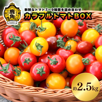 《 先行予約 》 国産 秋田県鹿角産 カラフルトマトBOX 約2.5kg 新鮮 野菜 安全 ミニトマト 大玉 中耳玉 詰め合わせ お中元 お歳暮 お取り寄せ 母の日 父の日 グルメ ギフト 故郷 秋田 あきた 鹿角市 鹿角 送料無料 【早川農園】