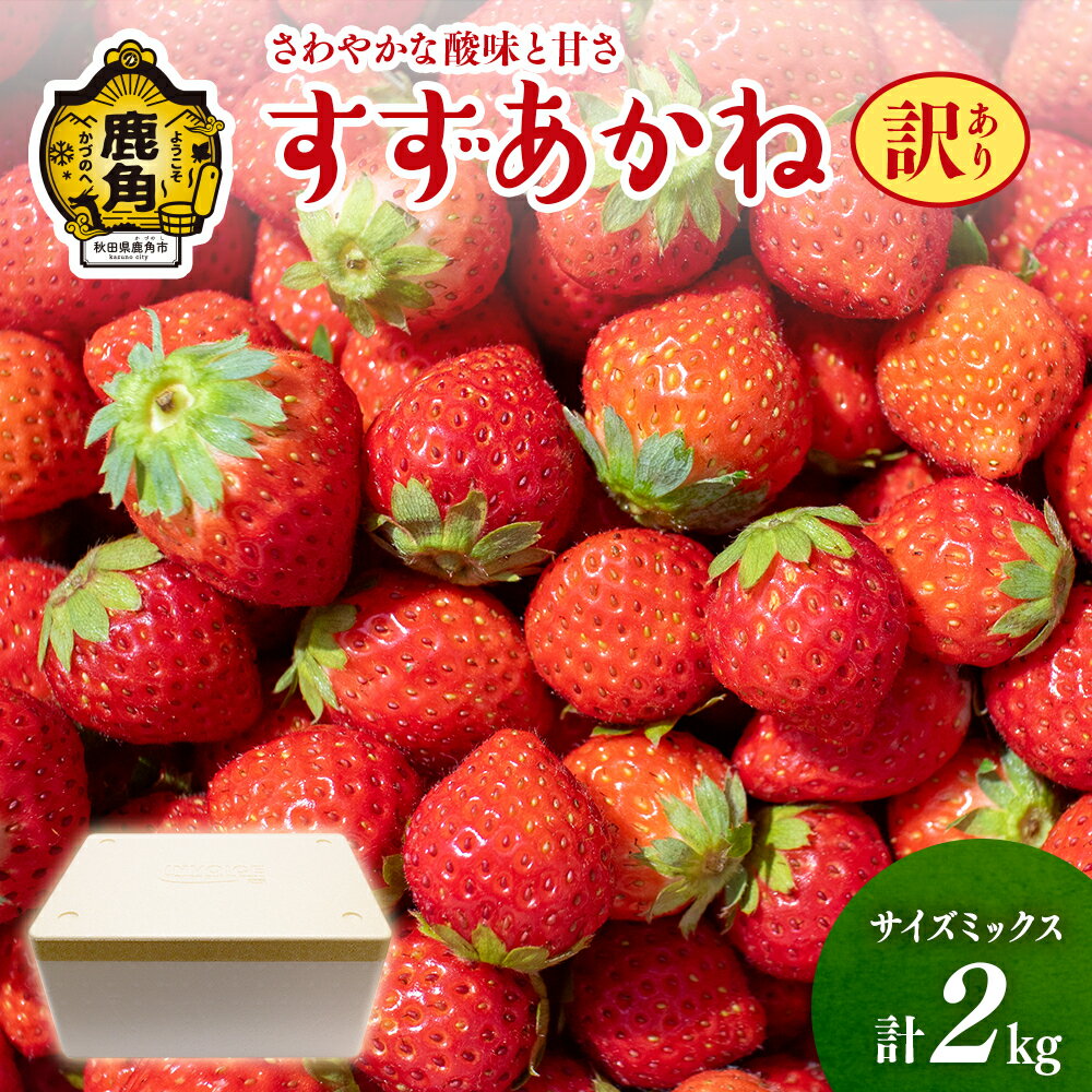 【ふるさと納税】《 先行予約 》 訳あり すずあかね いちご 2kg サイズMIX おすそ分け 県産いちご 国産いちご いちご 苺 イチゴ お中元 お歳暮 母の日 父の日 贈り物 贈答用 ホワイトデー ケー…