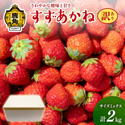 《 先行予約 》 訳あり すずあかね いちご 2kg サイズMIX おすそ分け 県産いちご 国産いちご いちご 苺 イチゴ お中元 お歳暮 母の日 父の日 贈り物 贈答用 ホワイトデー ケーキ バースデー グルメ 故郷 秋田 あきた 鹿角市 鹿角 送料無料 【神田農園】