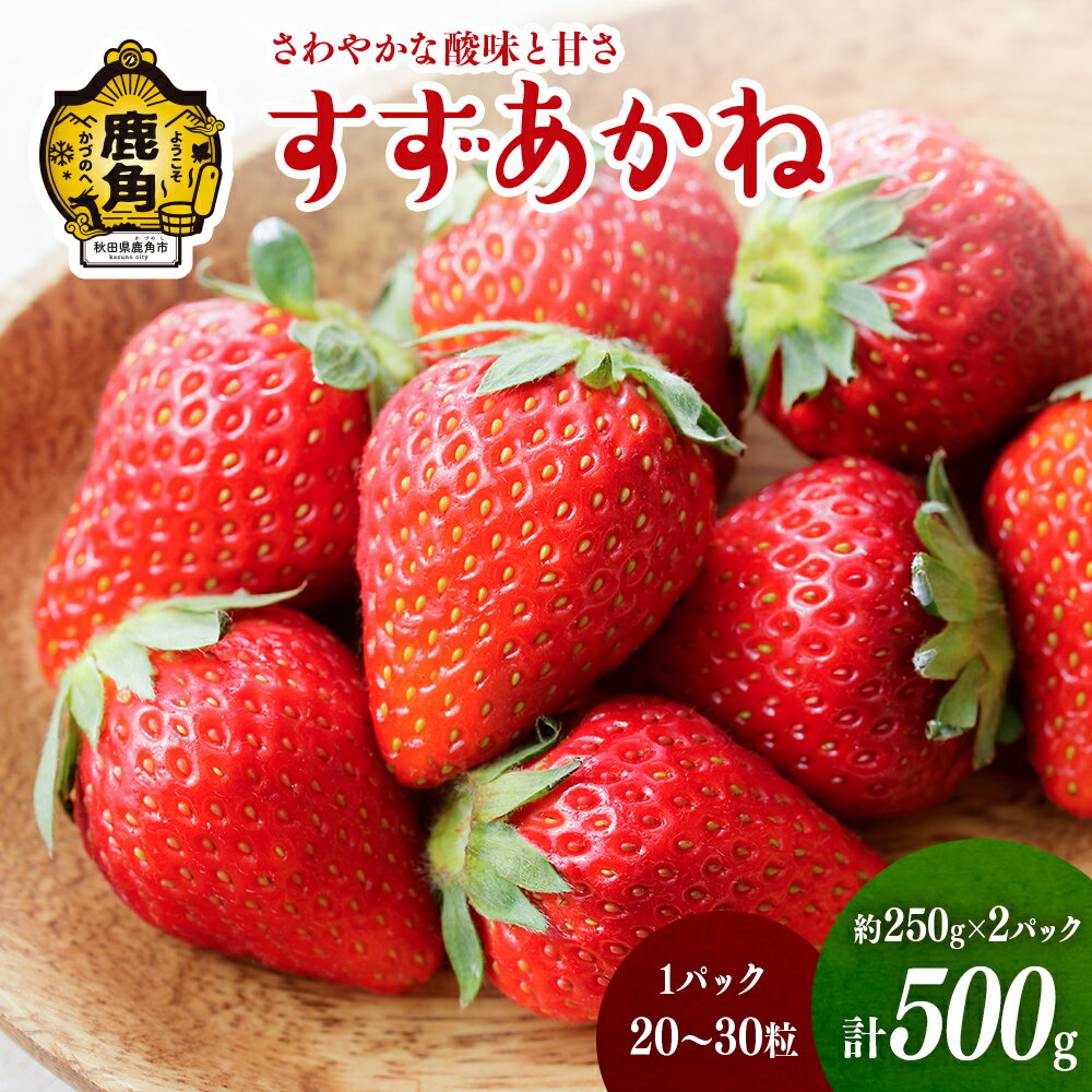 [ 先行予約 ] すずあかね 約 250g × 2パック( 1パック : 20〜30粒 ) おすそ分け 県産いちご 国産いちご いちご 苺 イチゴ 誕生日 バースデー 母の日 父の日 贈り物 贈答用 手作り ケーキ グルメ 秋田 あきた 鹿角市 鹿角 送料無料 [神田農園]