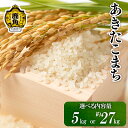 【ふるさと納税】《先行予約》 白米 あきたこまち 令和7年産 5kg 約27kg 米 精米 単一原料米 単品 低温乾燥 低温精米 あきたこまち 選べる 内容量 お米 先行予約 県産米 秋田県産 国産米 秋田県 あきた 鹿角市 鹿角 送料無料 【こだて農園】