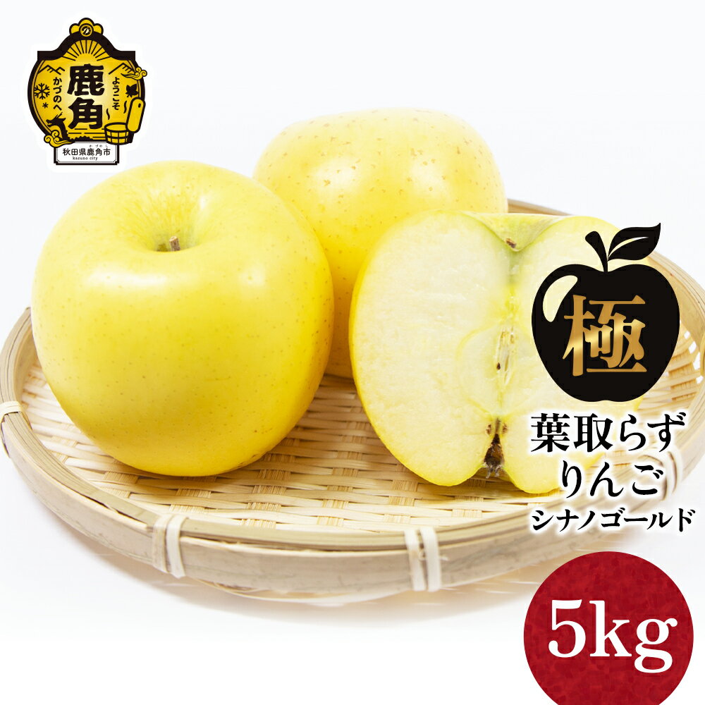【ふるさと納税】《 先行予約 》 りんご 極 葉取らず シナノゴールド 5kg(13~20玉)【録政園】 葉とらず みずみずしい 果汁 リンゴ 林檎 完熟 旬 県産りんご お中元 お歳暮 贈り物 お見舞い グルメ ギフト 故郷 秋田県鹿角市産 送料無料