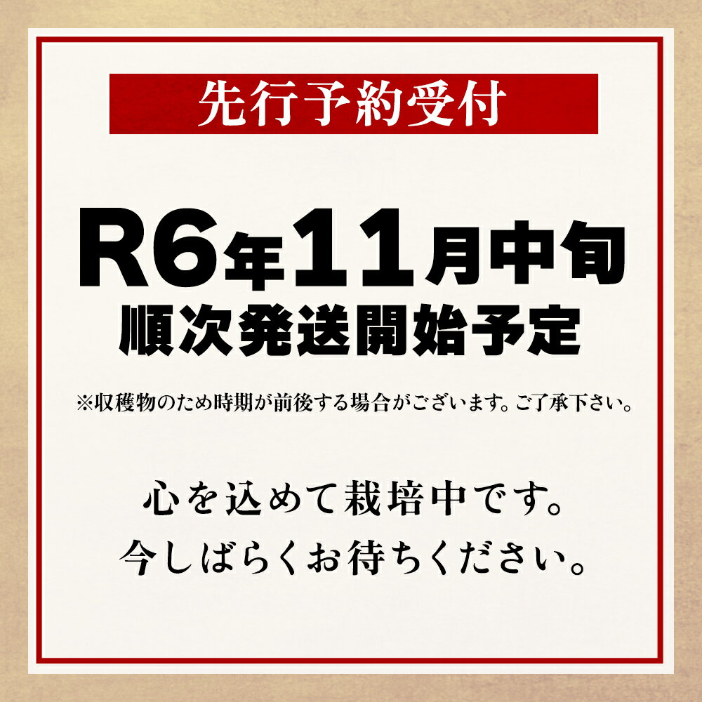 【ふるさと納税】《 先行予約 》令和6年産 鹿角 りんご 秋田紅あかり 約 2.5kg かづのりんご 食感 果汁 さっぱり リンゴ 完熟 旬 りんご 林檎 お中元 お歳暮 贈り物 お見舞い グルメ ギフト 故郷 秋田 あきた 鹿角市 鹿角 紅あかり 送料無料 【恋する鹿角カンパニー】