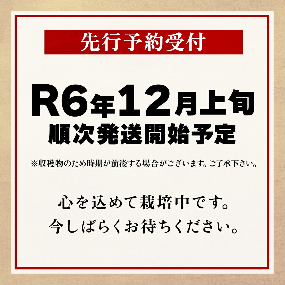 【ふるさと納税】《 先行予約 》令和6年産 秋田県鹿角産 りんご 秀品 サンふじ 約 5kg かづのりんご 食感 果汁 さっぱり リンゴ 完熟 旬 県産りんご 林檎 お中元 お歳暮 贈り物 お見舞い グルメ ギフト 故郷 秋田 あきた 鹿角市 鹿角 送料無料 【恋する鹿角カンパニー】