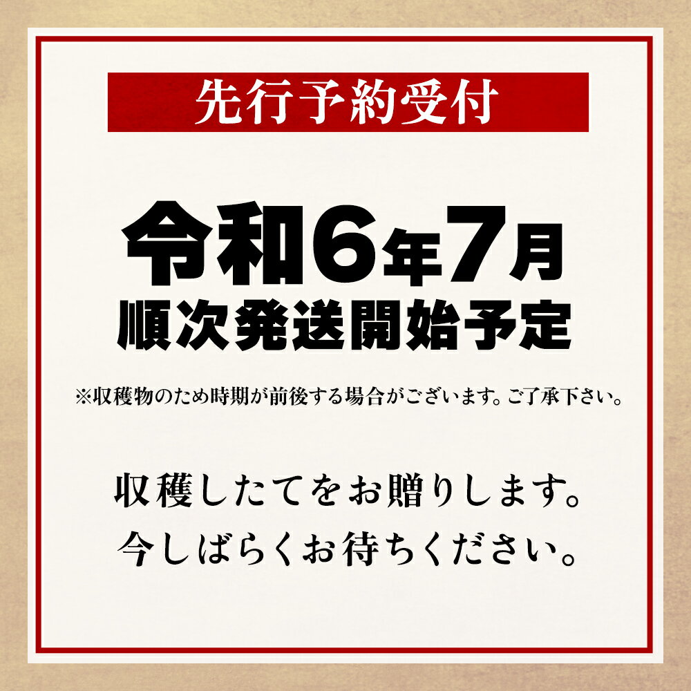 【ふるさと納税】《 先行予約 》 はちみつ アカシア 500g × 1本 チューブタイプ 国産 100% 天然 非加熱 蜂蜜 生はちみつ 純粋 無添加 ハチミツ レシピ レモン 効果 紅茶 贈り物 贈答用 ギフト 贈答 秋田県 秋田 あきた 鹿角市 鹿角 かづの 送料無料 【十和田養蜂場】