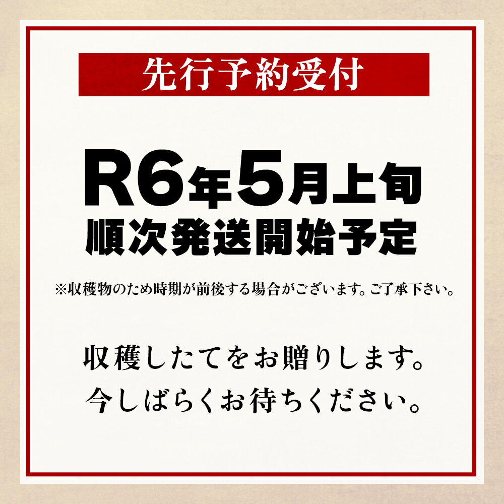 【ふるさと納税】 十和田高原 春の山菜セット 天然 山菜 鹿角産山菜 国産山菜 春の味覚 新鮮 お中元 お歳暮 お取り寄せ 贈り物 贈答用 グルメ ギフト 秋田県鹿角市産 送料無料 【平塚果樹園】