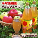 【ふるさと納税】 りんごジュース 1000ml × 6本 食