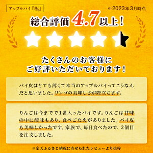 【ふるさと納税】* アップルパイ 極 18cmホール:1個 鹿角 りんご 使用 家庭用 ケーキ スイーツ お菓子 おやつ 日持ち お中元 お歳暮 母の日 贈り物 グルメ ギフト 故郷 秋田 あきた 鹿角市 鹿角 送料無料 【レディースファーム】