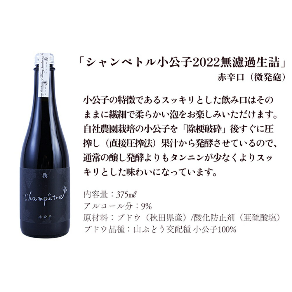 【ふるさと納税】 シャンペトル 小公子2022無濾過生詰 赤 辛口（微発砲）375ml × 2本 小公子 ワイン 飲みやすい ぶどう 県産ブドウ お中元 お歳暮 お取り寄せ 母の日 父の日 グルメ ギフト 秋田 鹿角市 送料無料 MKpaso【ワイナリーこのはな】