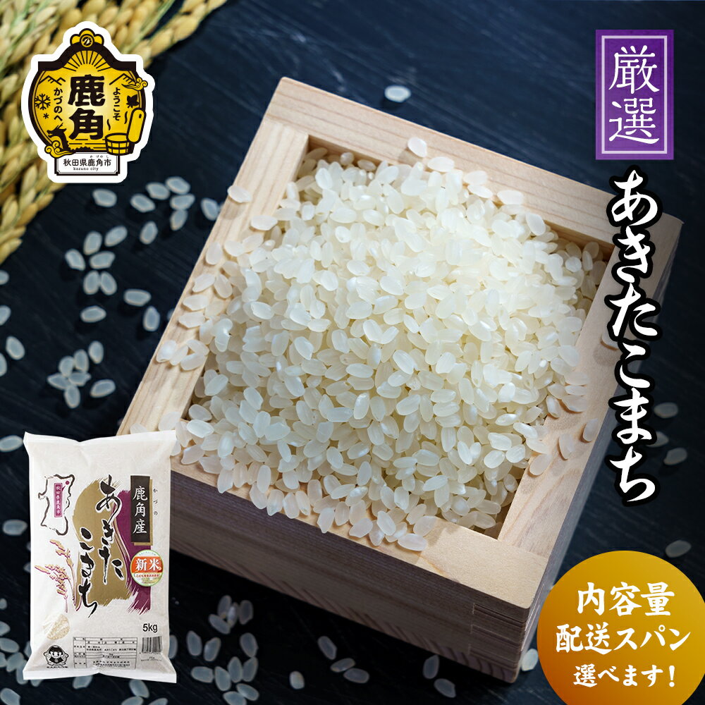 【ふるさと納税】《 先行予約 》 令和6年産 厳選あきたこま