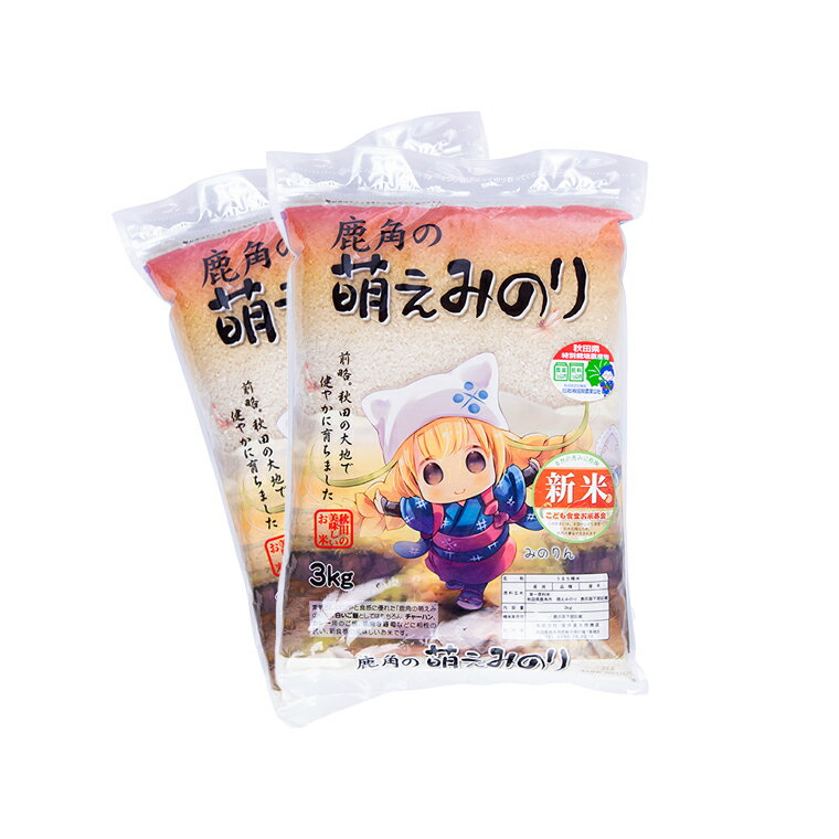 【ふるさと納税】【定期便】令和3年産 鹿角の萌えみのり 精米6kg (3kg×2袋)×3ヶ月【安保金太郎商店】