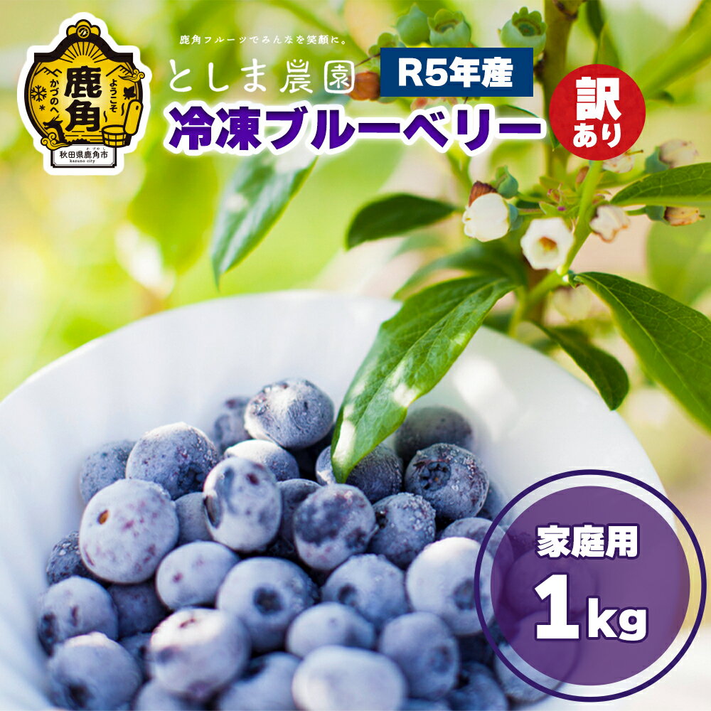 【ふるさと納税】 冷凍ブルーベリー1kg サイズMIX 旬 県産 ブルーベリー 国産ブルーベリー 小分け お中元 お歳暮 お取り寄せ 母の日 父の日 グルメ ギフト 故郷 秋田 あきた 鹿角市 鹿角 送料…