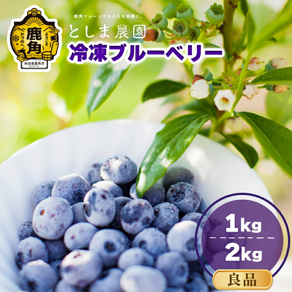 【ふるさと納税】令和7年産 冷凍 ブルーベリー 選べる 良品 1kg / 2kg ( サイズMIX ) 旬 県産ブルーベリー 国産ブルーベリー お中元 お歳暮 ...
