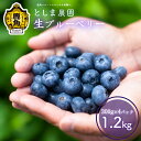 【ふるさと納税】《 先行予約 》令和8年産 生ブルーベリー 良品 1.2kg ( 300g × 4パック ) 旬 県産ブルーベリー 小分け お中元 お歳暮 お取...