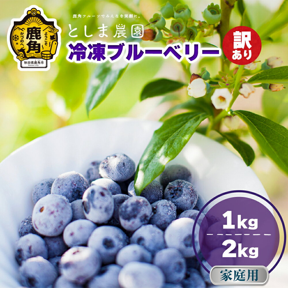 【ふるさと納税】 令和7年産 訳あり 冷凍 ブルーベリー 選べる 1kg / 2kg ( サイズMIX ) 旬 県産 ブルーベリー 国産ブルーベリー 小分け お...