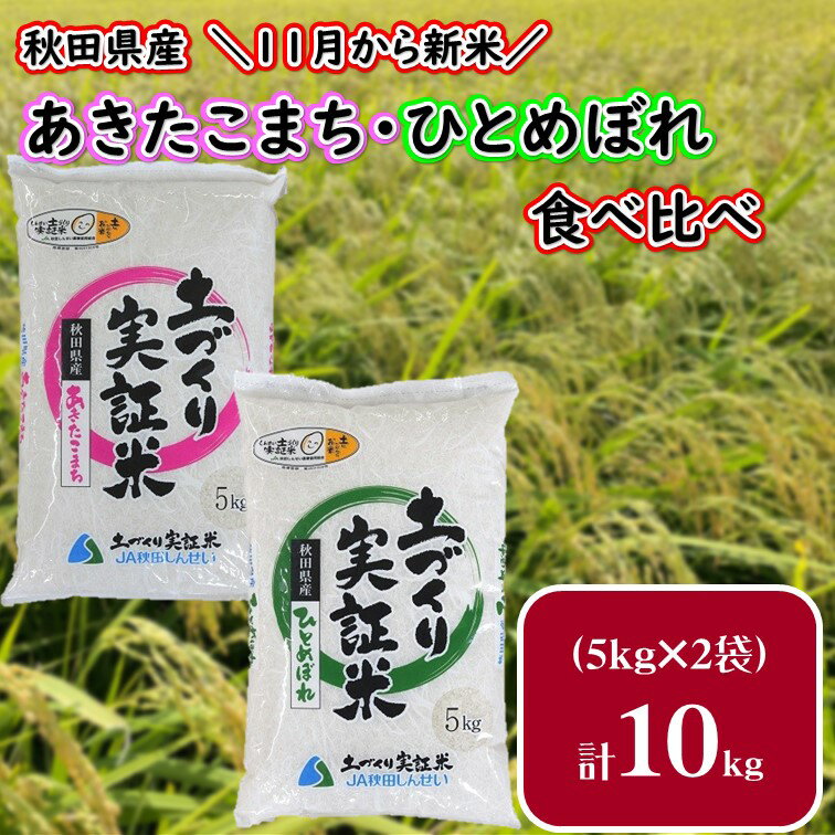 【ふるさと納税】≪価格見直し≫「あきたこまち」「ひとめぼれ」 米 食べ比べ 各5kg 計10kg 精米 令和3年産 こめ コメ X00055