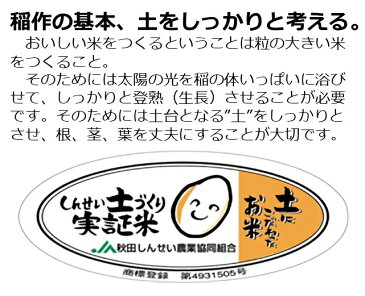 【ふるさと納税】「あきたこまち」「ひとめぼれ」 米 食べ比べ (定期便) 各5kg×4か月連続 計40kg 精米 令和3年産 こめ コメ 4ヶ月 4カ月 4ヵ月 X00046