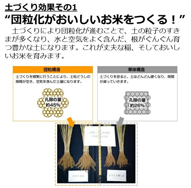 【ふるさと納税】≪価格見直し≫「あきたこまち」「ひとめぼれ」 米 食べ比べ 各5kg 計10kg 精米 令和3年産 こめ コメ X00055