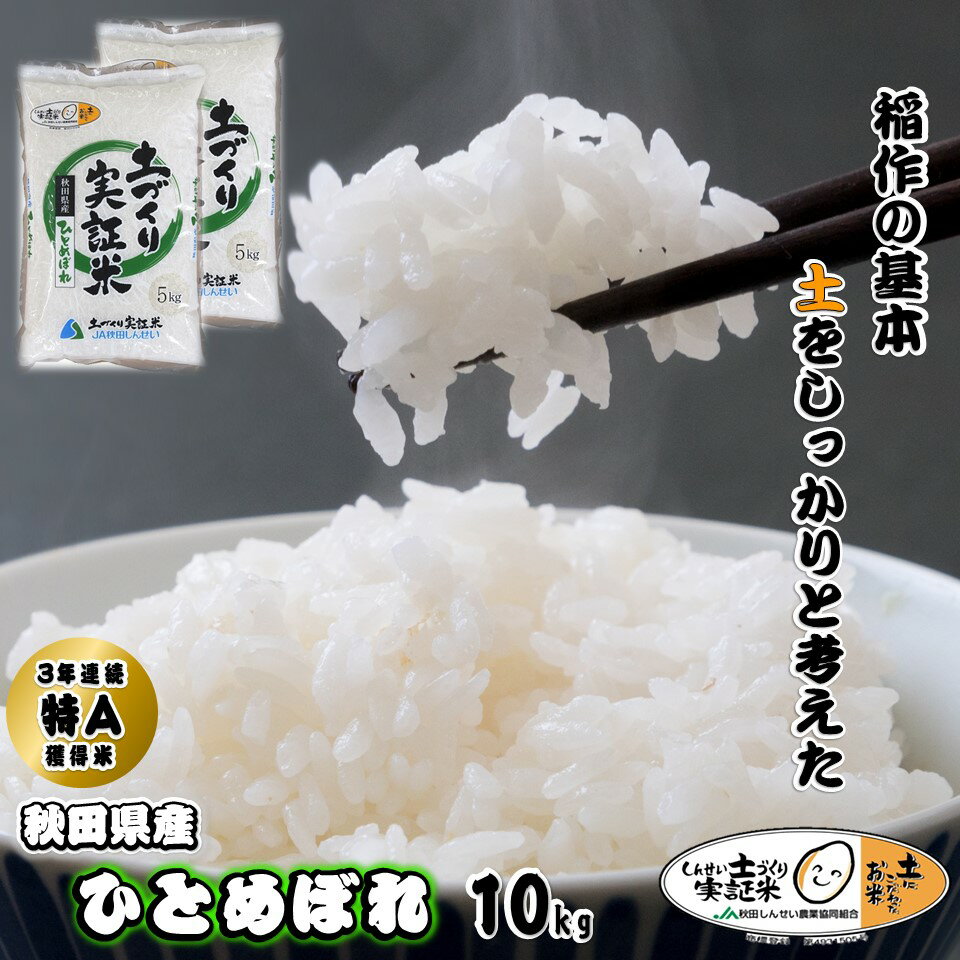 【ふるさと納税】≪価格見直し≫ ひとめぼれ 新米 5kg×2袋 計10kg 精米 秋田県産 令和3年産 米 こめ コメ 送料無料 V10031（令和3年産新米先行予約）