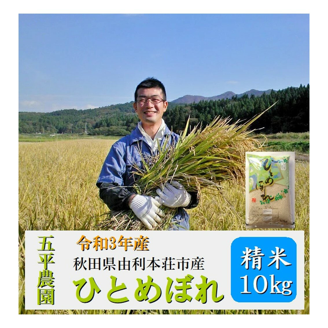 【ふるさと納税】秋田県産ひとめぼれ 10kg 農家直送 令和3年産米 秋田県由利本荘市産 (B95239ひとめぼれ精米10kg）