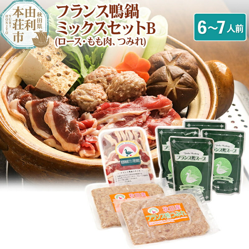 【ふるさと納税】国産 フランス鴨 鍋ミックスセット 合計740g (フランス鴨ロース肉・モモ肉ミックス240g 鴨つみれ250×2 スープ200ml×4)