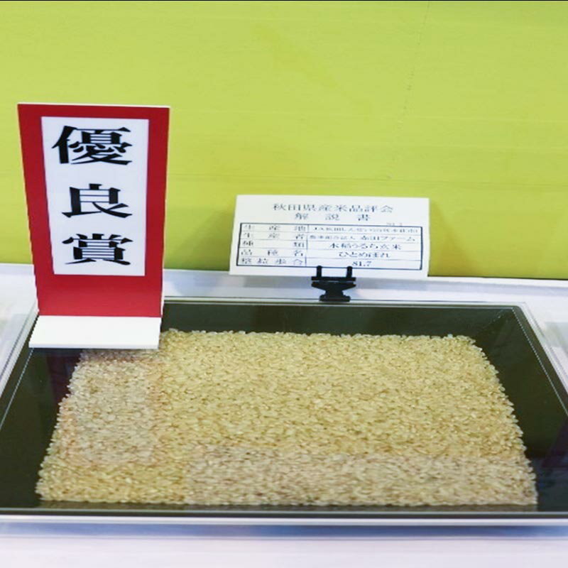 【ふるさと納税】令和5年産【玄米】秋田県産ひとめぼれ 計30kg（30kg×1袋）