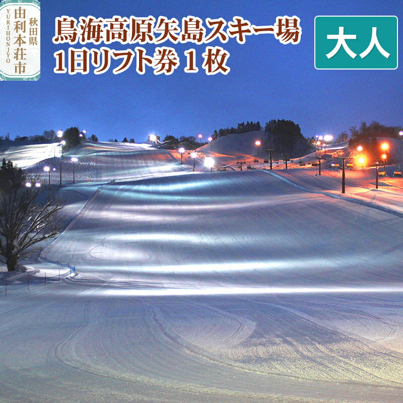 鳥海高原矢島スキー場 リフト1日券 大人