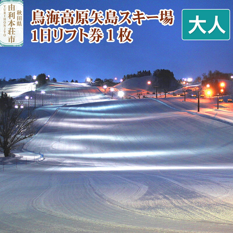 【ふるさと納税】鳥海高原矢島スキー場 リフト1日券 大人1枚