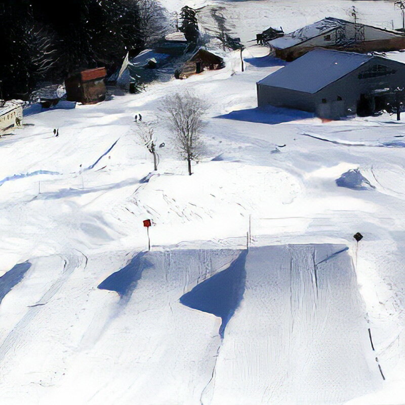 【ふるさと納税】鳥海高原矢島スキー場 リフトシーズン券 子供(中学生以下)1枚【営業期間：2025年12月〜2026年3月】＜簡易書留＞