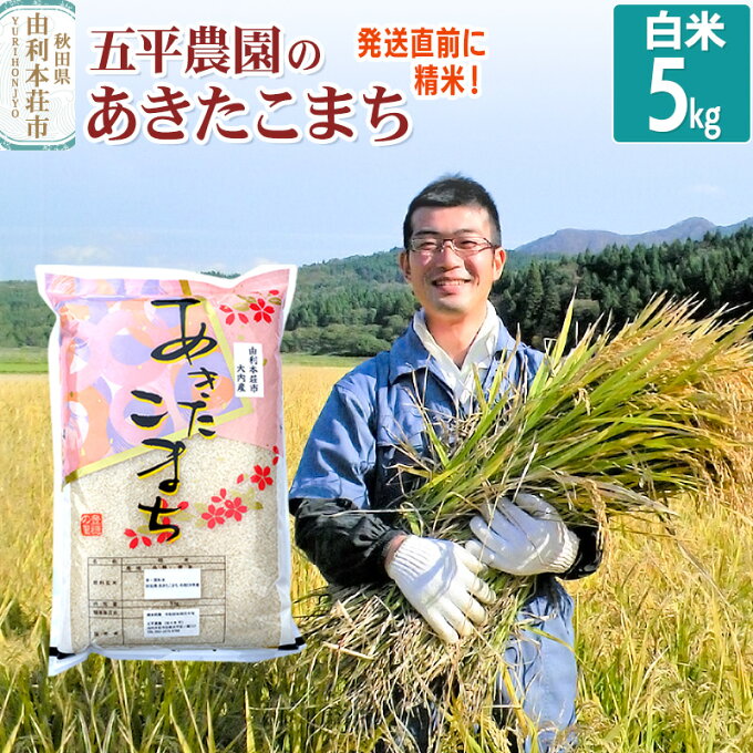 【ふるさと納税】【白米】 あきたこまち 令和5年産 秋田県産 五平農園のあきたこまち 5kg