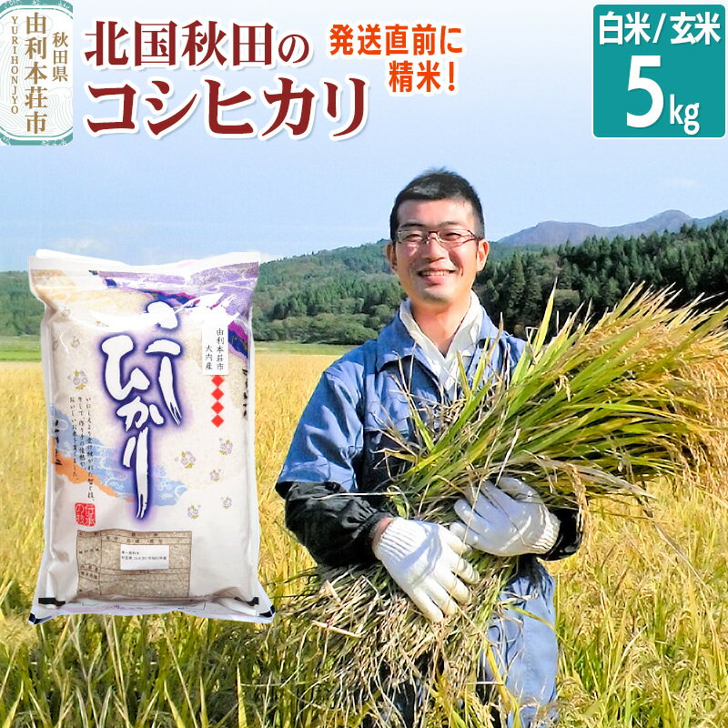 [白米/玄米] コシヒカリ 令和5年産 秋田県産 北国秋田のコシヒカリ 5kg