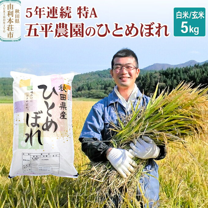 【ふるさと納税】米 5kg 【白米／玄米】 特A ひとめぼれ 令和4年産新米 秋田県...