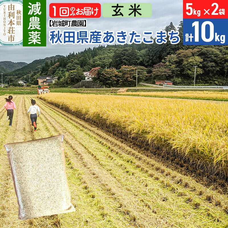 【ふるさと納税】【玄米】〈減農薬〉秋田県由利本荘市産 あきたこまち 10kg (5kg×2袋) 令和5年産 新鮮パック 低農薬 低農薬