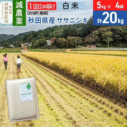 【白米】秋田県由利本荘市産 ササニシキ 令和4年産( 5kg×4袋) 計20kg