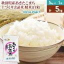 【ふるさと納税】《新米予約》米 5kg 精米 秋田県産 あきたこまち 令和7年産 土作り実証米 JA秋田しんせい