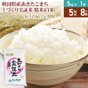 【ふるさと納税】《新米予約》【白米】《定期便》 5kg×8回 令和7年産 あきたこまち 土作り実証米 合計40kg 秋田県産