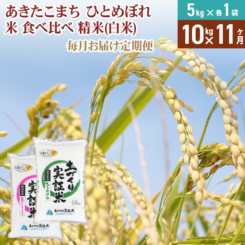 【ふるさと納税】米 定期便 10kg（5kg×2袋） 11ヶ月 令和4年産 秋田県産...