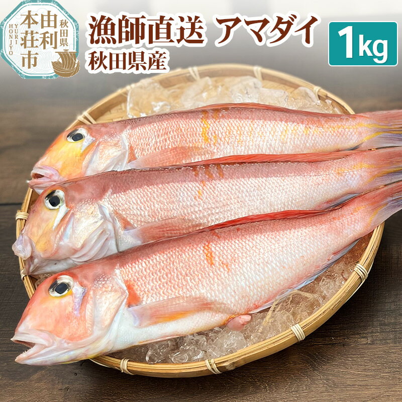 【ふるさと納税】漁師直送 甘鯛 (あまだい) 秋田県産 1kg (配送期間 5月～10月末予定、期間外は次期予約扱い)